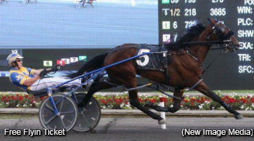 Fleet Footed Fillies Flaunt It In Golds