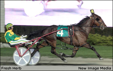 Ontario Spring Series Begins