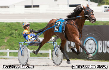 Frost Free Hanover Flogs Stakes Foes