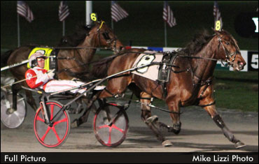 Full Picture Perfect In Petticoat; More Matchmaker