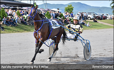 Appleby Hanover Wins 5 Milles