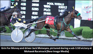 SBOA Group Horse Proves Successful