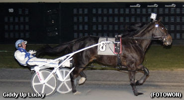 Eight Straight For Giddy Up Lucky