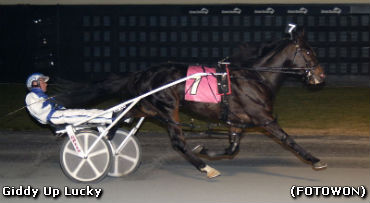Nine Is Fine For Giddy Up Lucky