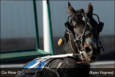Go Nine O Clinches Cloverdale Title