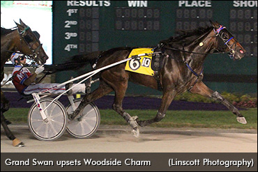 Woodside Charm Upset In Debut