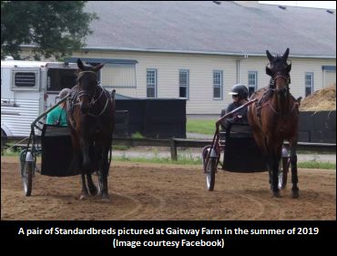 Gaitway 'Baby Races' Continue