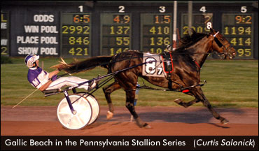 Sophomores Take New Marks In PA Series