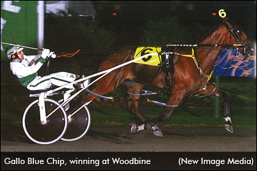 Woodbine Top Ten: #4
