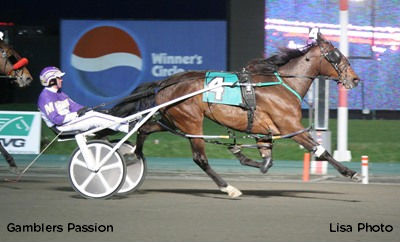 Gamblers Passion Pounces In Blossom