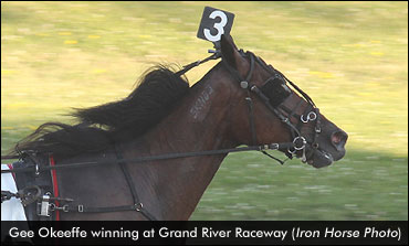 Fillies Prosper With Drop To Grassroots