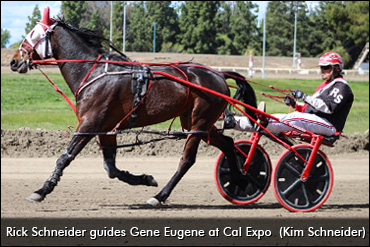 How Cal Expo Has Stayed Active