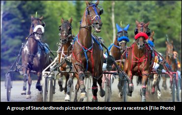 Bringing A Sharing Economy To Racing