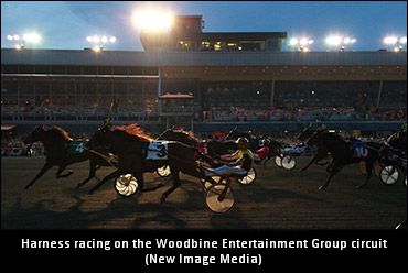 More News From The WEG Circuit
