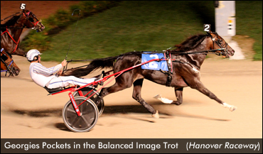 Georgies Pockets Wins Balanced Image