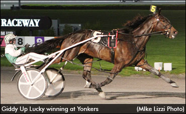 Giddy Up Lucky Passes