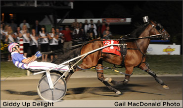 First Gold Cup & Saucer Trial To Giddy Up Delight