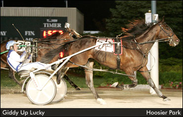 New Millionaire Giddy Up Lucky Wins Dan Patch 