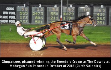 Undefeated Gimpanzee Heads To Yonkers 