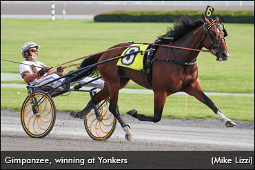 Yonkers Trot Tuneup For Gimpanzee