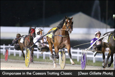 Gimpanzee Rebounds In Caesars Trotting Classic