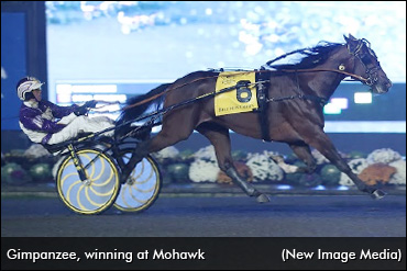 No Monkeying Around With Gimpanzee