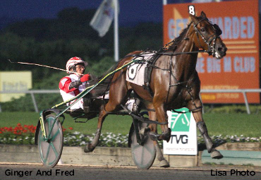 Ginger And Fred, Yellow Diamond In Tarport Hap Ginger And Fred, Yellow Diamond In Tarport Hap
