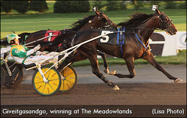 Second Hambo Appeal Pending