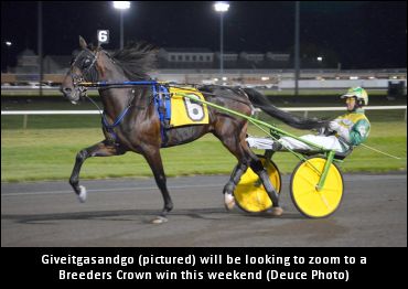 Fractional Ownership In The 'Crown'