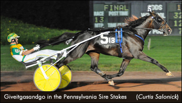 Trotting Colts Shine In Sire Stakes