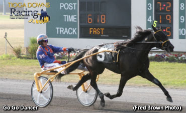 Tomkins-Geers To Go Go Dancer 