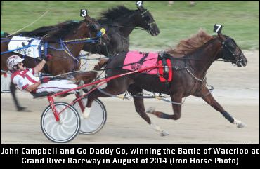 Interest In Go Daddy Go Sold