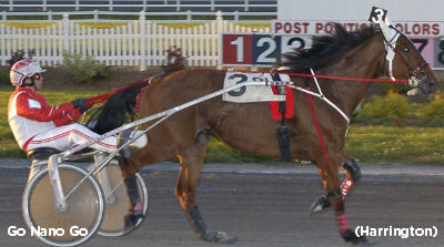 Go Nano Go Scores In Junior Open Trot