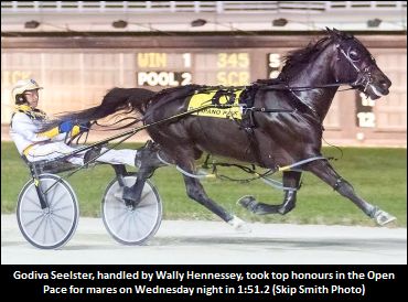 Godiva Seelster Victorious Again