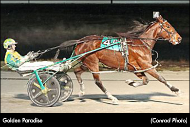 Golden Paradise Exceeding Expectations