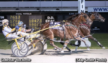 Mares Open To Goldstar Rockette
