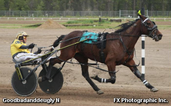 Graham Has A Gem In Goodbadanddeugly N 