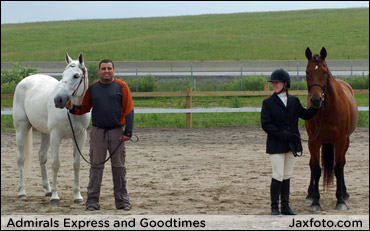 Pacer Vs. Trotter - Who Wins?