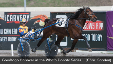 'Goodtogo' Continues Meadows Streak