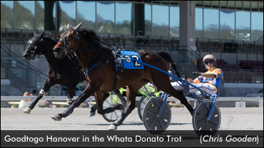 'Goodtogo' Completes Series Sweep