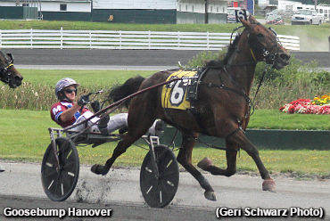 Filly Gives Fans ‘Goosebumps’