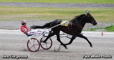 Buffalo Hosts Glamour Boys In NYSS