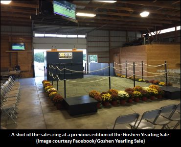 2020 Goshen Yearling Sale Complete