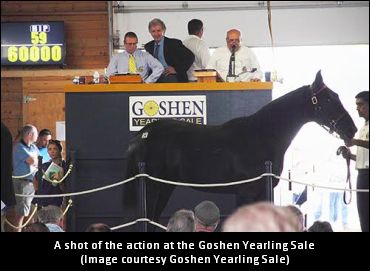 Goshen Sale Catalogues Available