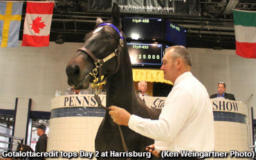 Gotalottacredit Tops Session 2