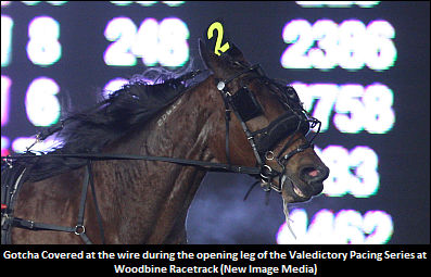 Does Van Meer Have It Covered?