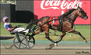 A North America Cup Dark Horse?