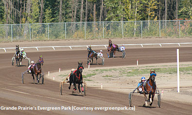 Fred Gillis On Grande Prairie