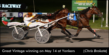 MacDonald Sweeps Yonkers Opens