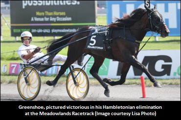 Greenshoe To Stand At Hanover